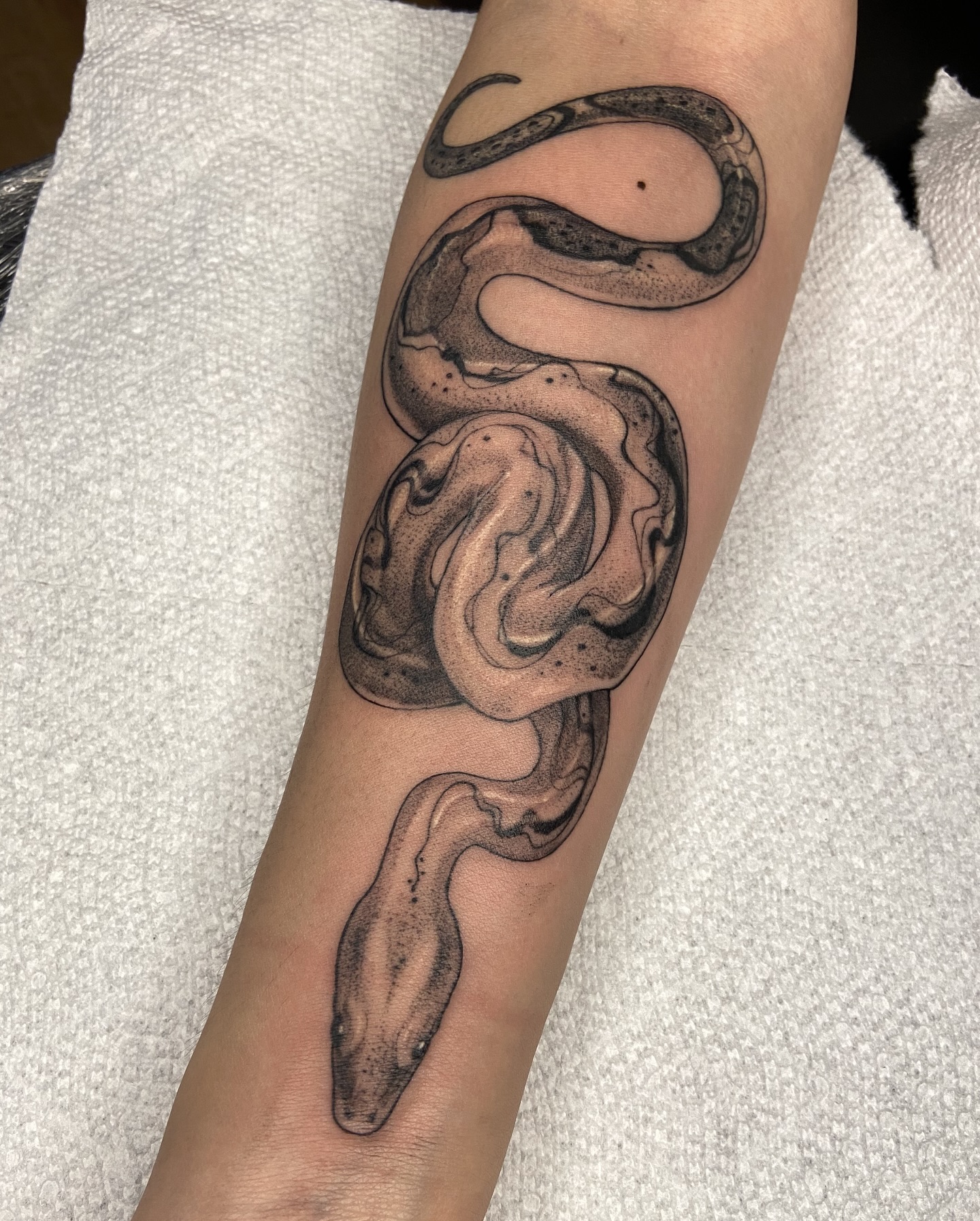 Python tattoo for men showing dense patterned scales across a thick coiled body
