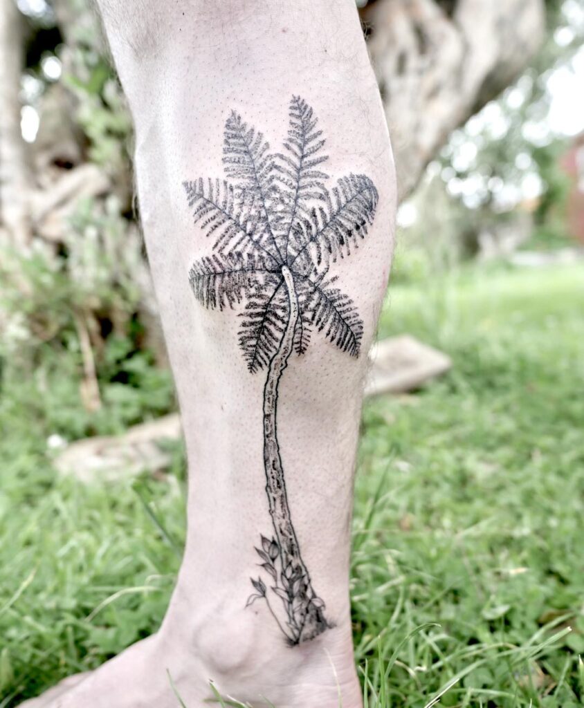 Tree fern tattoo showing the fibrous trunk and the crown of arching fronds above it