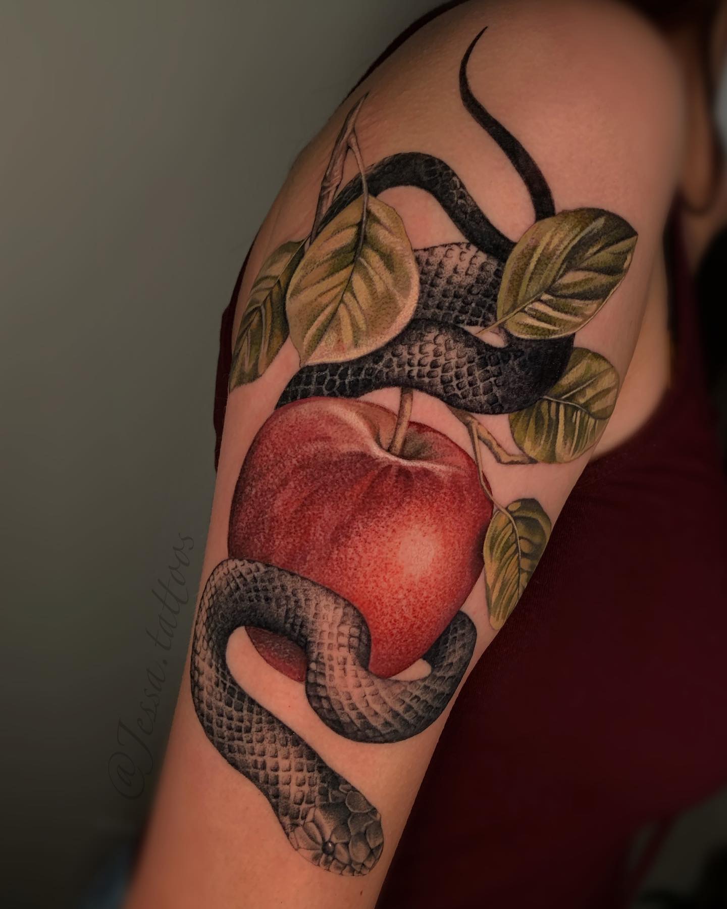Serpent and apple aesthetic tattoo with a coiled snake wrapped around fruit in fine black linework