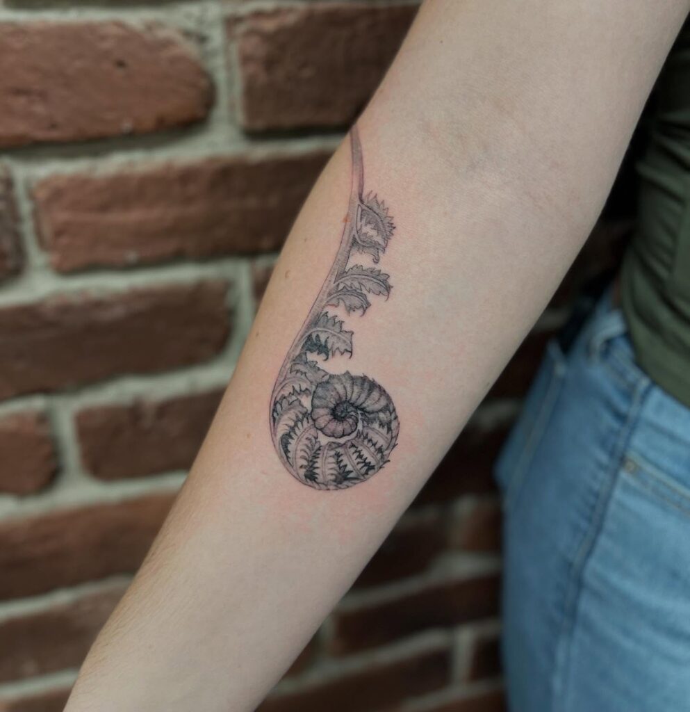 Fern crozier tattoo focused on the tight spiral of a young fiddlehead