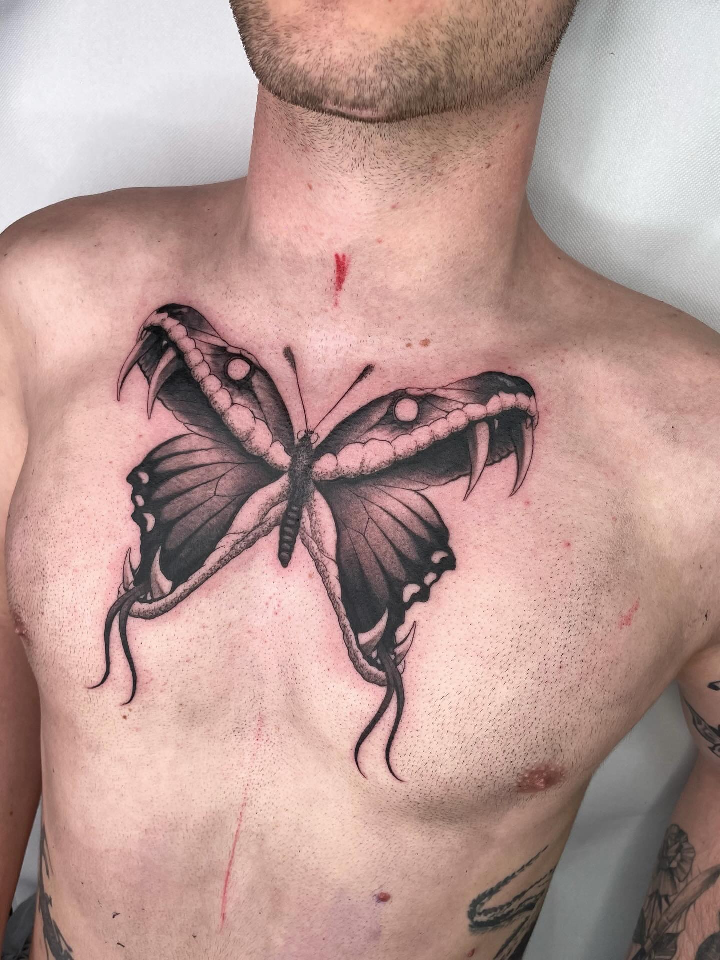 Butterfly chest tattoo for men spanning both sides of the chest with symmetrical wings