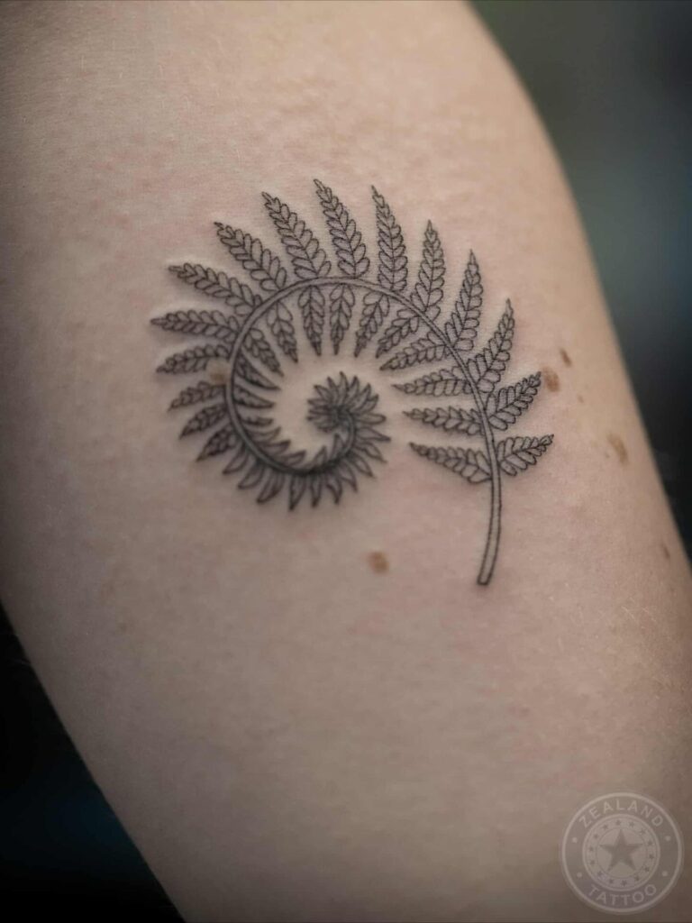 Koru fern tattoo showing an unfurling frond coiled into a tight spiral