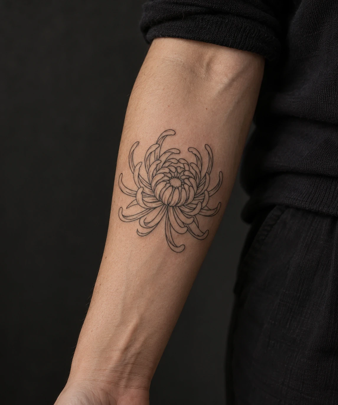 Outlined chrysanthemum tattoo with curved petal rings on a forearm